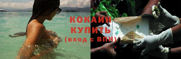 прущий лед Каменка
