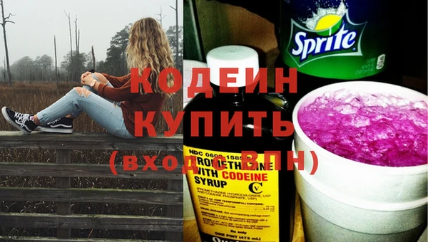 прущий лед Каменка