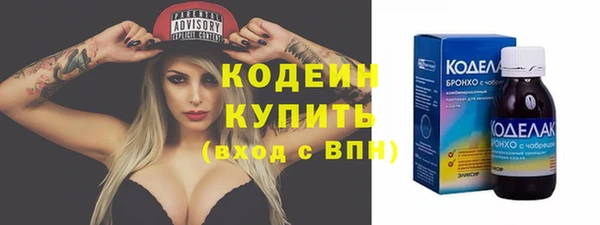 прущий лед Каменка