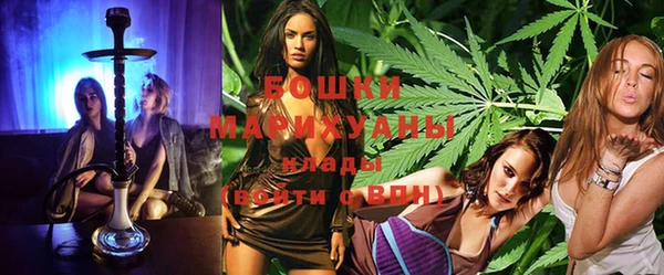 прущий лед Каменка