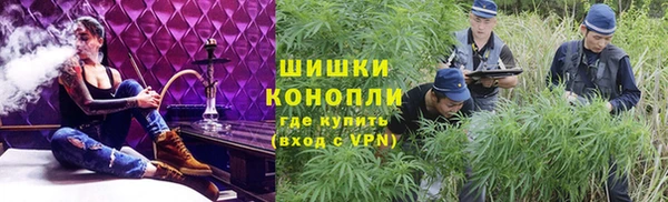 прущий лед Каменка