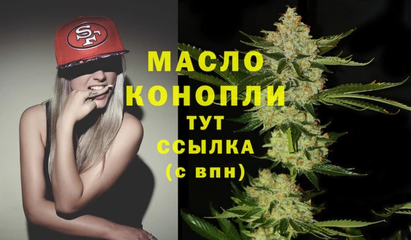 прущий лед Каменка